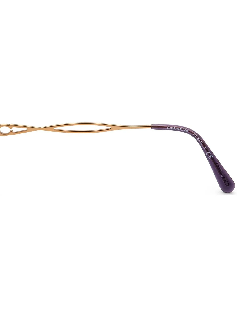 Coach HC 6172 5641 Eyewear